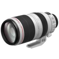 Canon 100-400 IS Objektiv