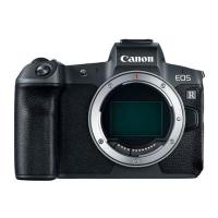 Canon EOS R 30,3 MP Systemkamera mit Adapter