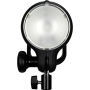 Profoto D1 500Ws mit Reflektor, Schirm, Stativ